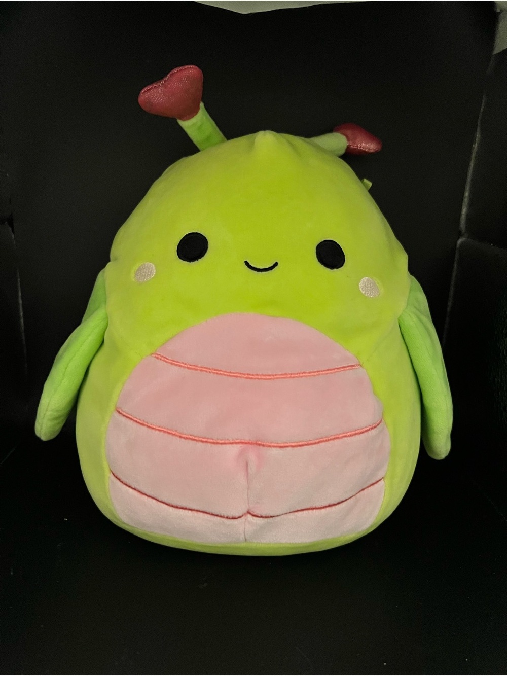Squishmallows Hadeon the Grasshopper NWOT Valentine’s Plush 8”